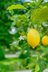 Similar image 21257511