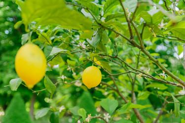 Similar image 21257512