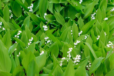 Similar image 21257513