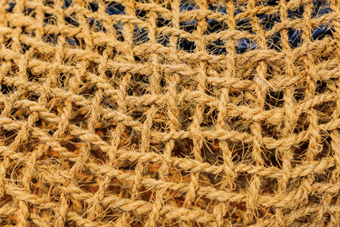 Similar image 21257952