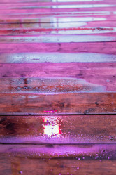 Similar image 21257955