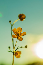 Similar image 21258072