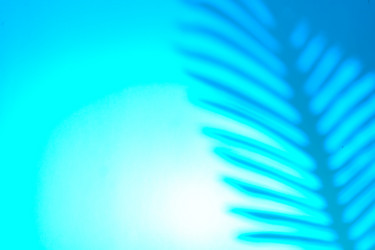 Similar image 21235179