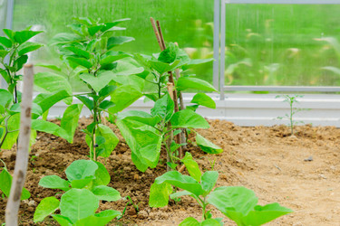 Similar image 21253857