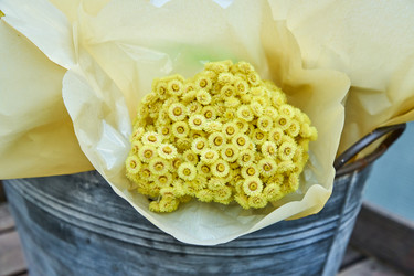 Similar image 21254554