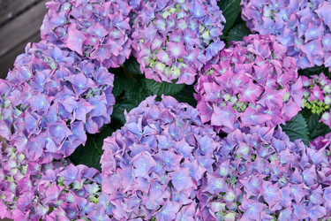 Similar image 21254558