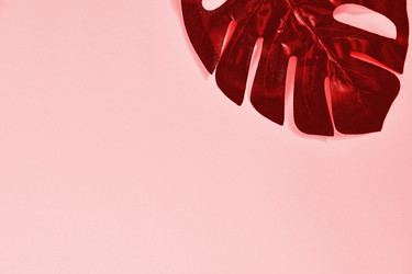 Similar image 21254770