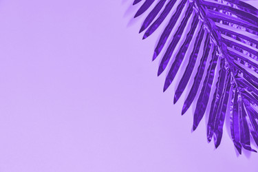 Similar image 21255125