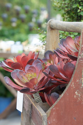 Similar image 21257170