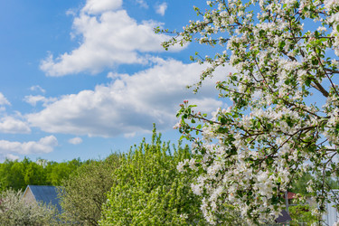 Similar image 21257964