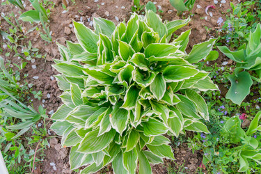 Similar image 21258058