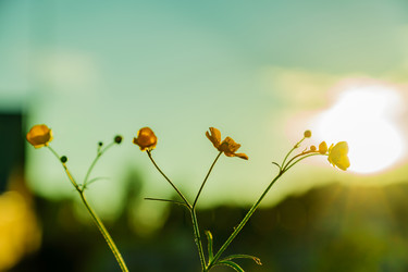 Similar image 21258658