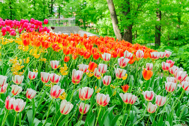 Similar image 21243239