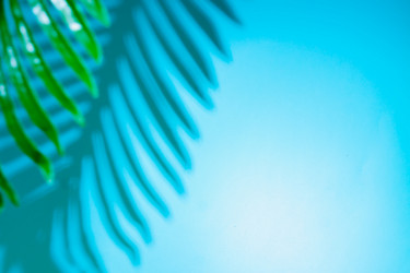 Similar image 21243242