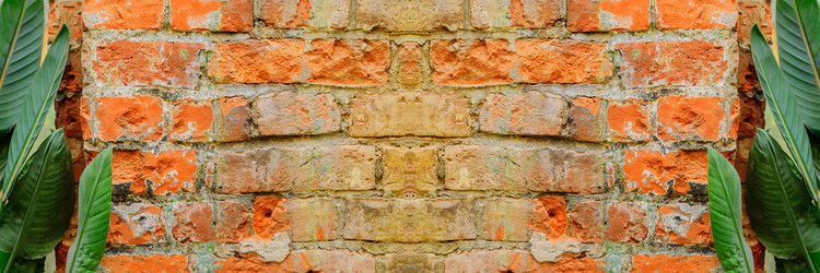 Similar image 21253735