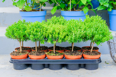 Similar image 21253738