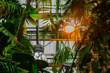 Similar image 21253879