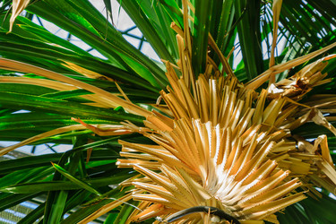 Similar image 21253880