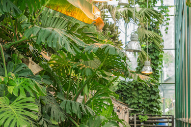 Similar image 21253882