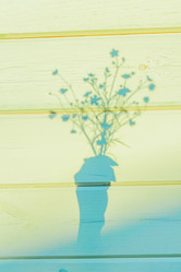 Similar image 21253883