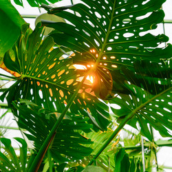 Similar image 21253884