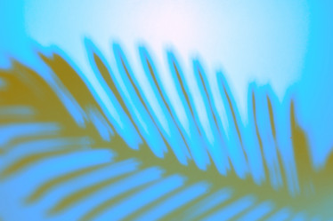 Similar image 21253887