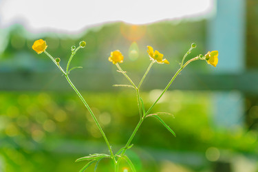 Similar image 21253888