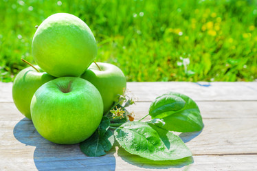 Similar image 21253889