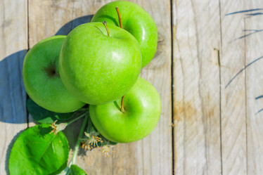 Similar image 21253891