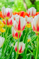 Similar image 21253908