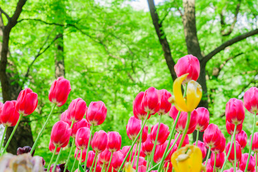 Similar image 21257122