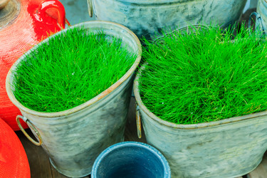 Similar image 21257171