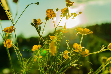 Similar image 21257524