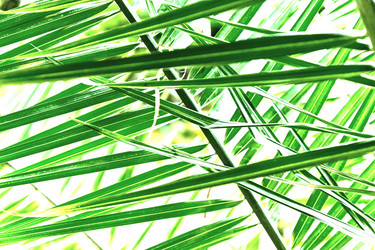 Similar image 21257526