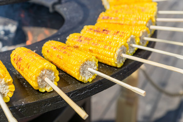 Similar image 21257528