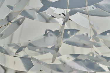 Similar image 21243246