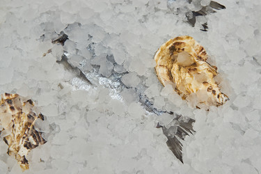 Similar image 21253715