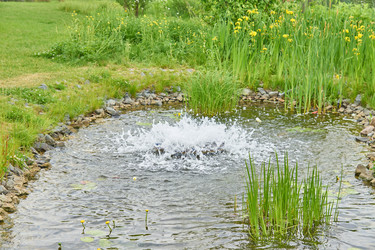 Similar image 21253739