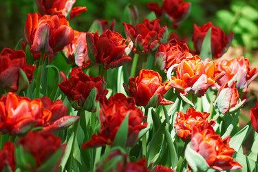 Similar image 21253917