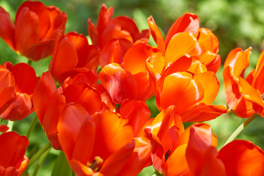 Similar image 21253919