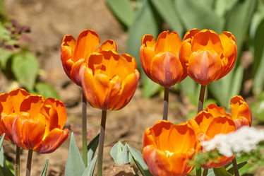 Similar image 21253920