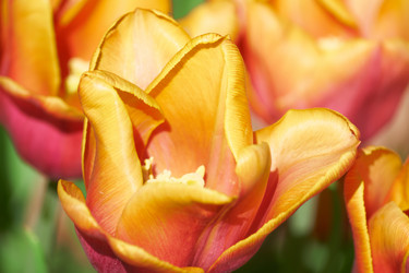 Similar image 21253922