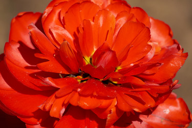 Similar image 21253923