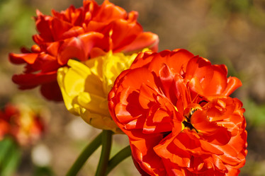 Similar image 21253924