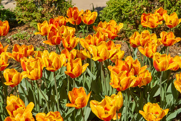 Similar image 21253925