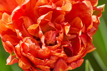 Similar image 21253926