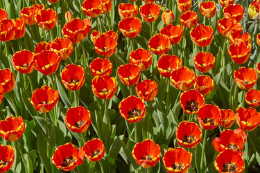 Similar image 21253927