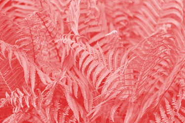 Similar image 21254429