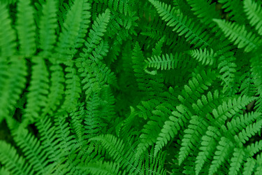 Similar image 21254430