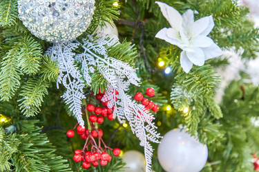 Similar image 21255130